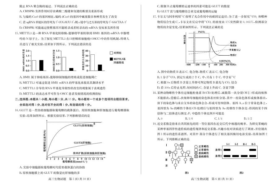 2025届山东省德州市优高联考高三下学期11月期中考-生物试卷（含答案）第3页