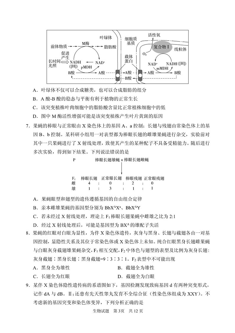 2025届山东省山东实验中学高三下学期11月第二次诊断-生物试卷（含答案）第3页