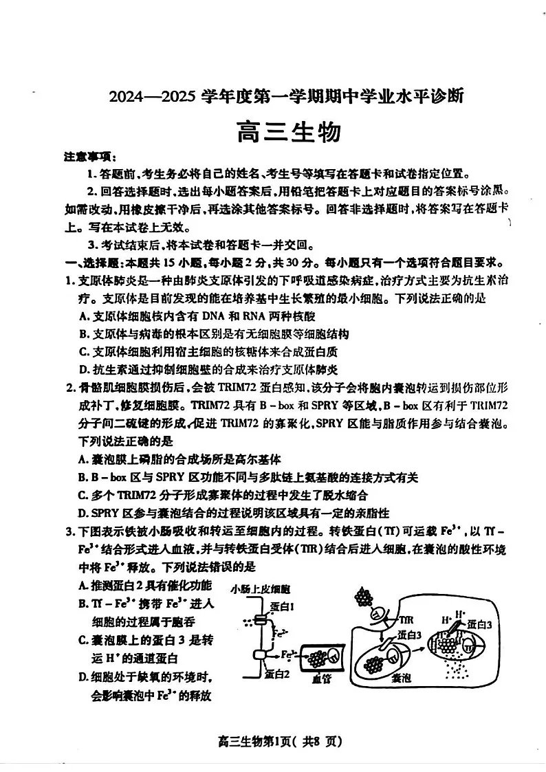 2025届山东省烟台市高三下学期11月期中学诊断检测-生物试卷（含答案）第1页