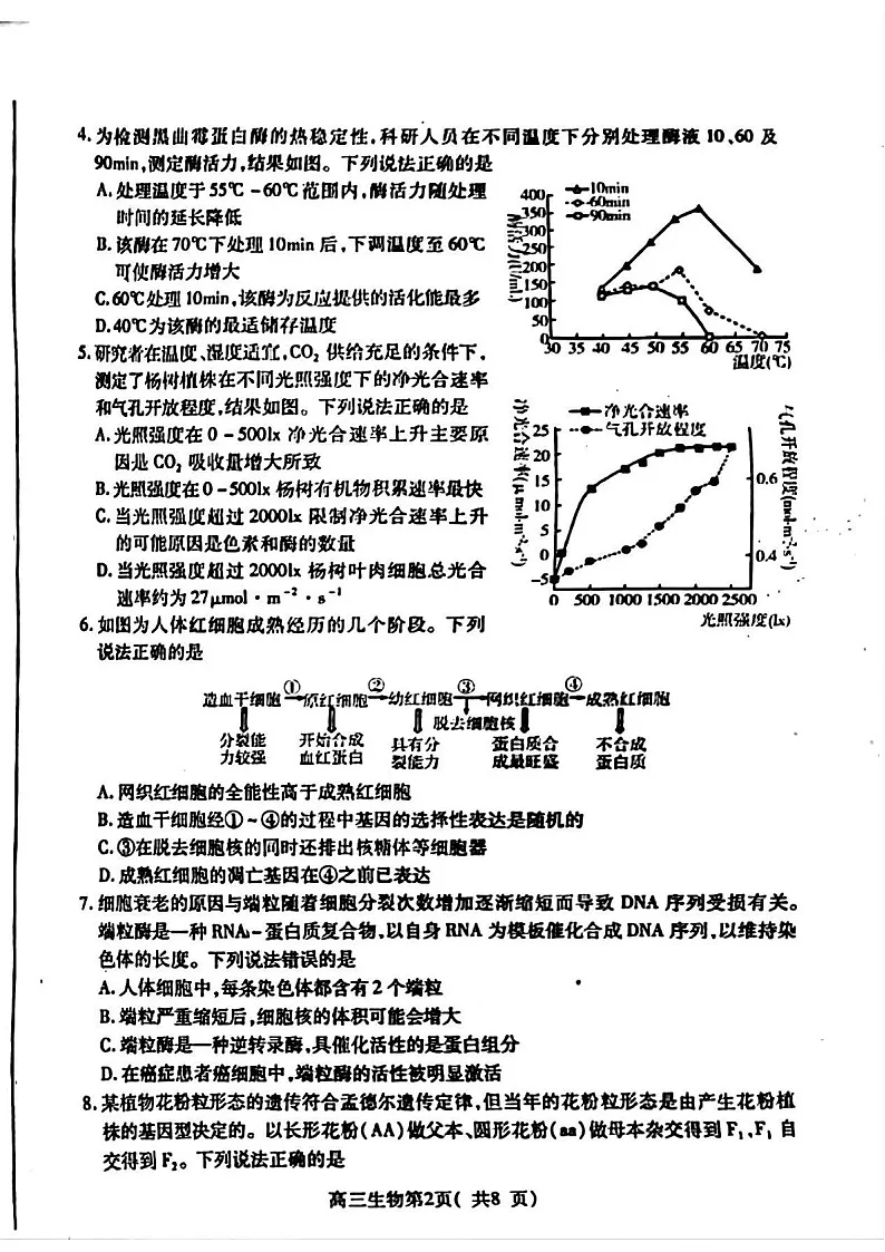 2025届山东省烟台市高三下学期11月期中学诊断检测-生物试卷（含答案）第2页