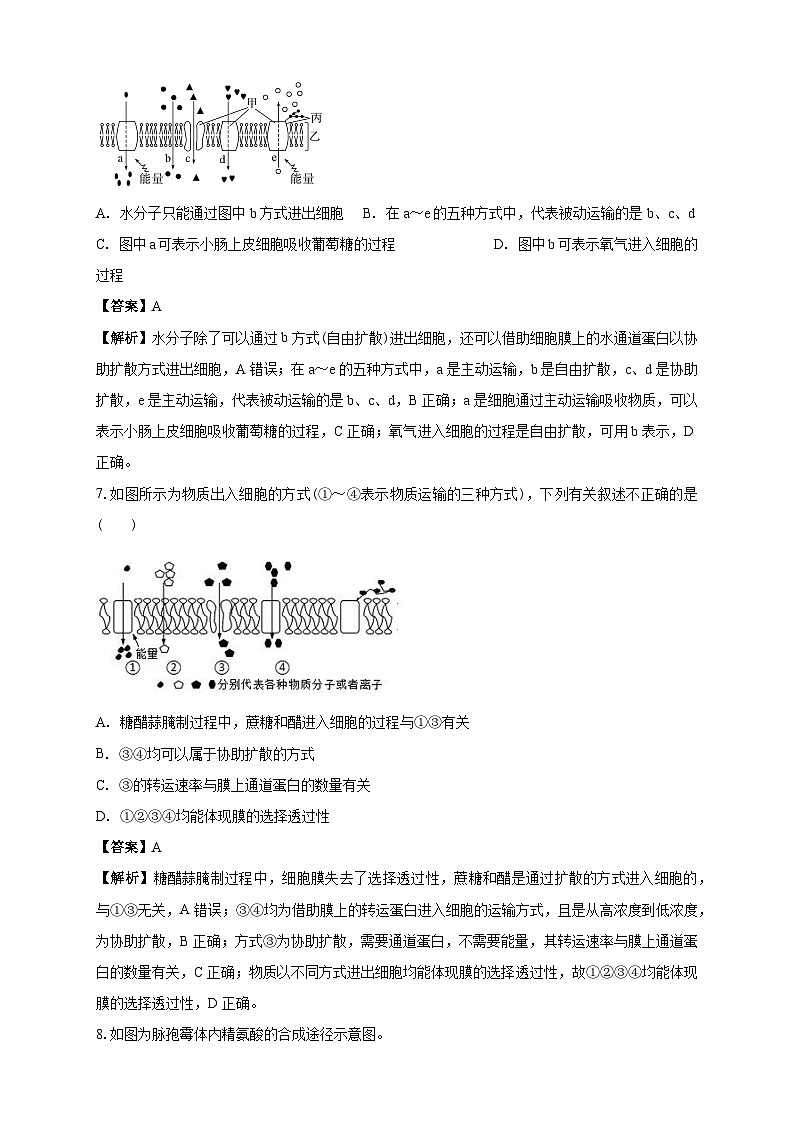 白城一中2025级高二开学考生物试卷解析第3页