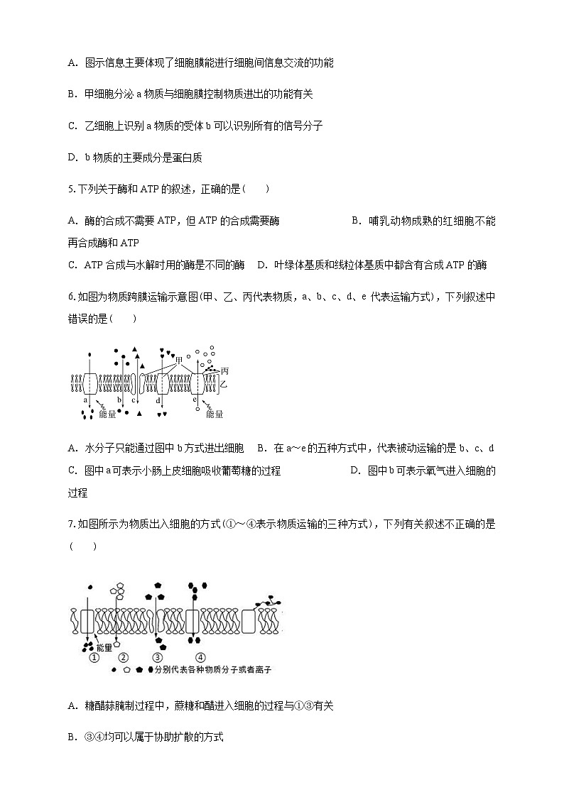 白城一中2025级高二开学考生物试卷第2页