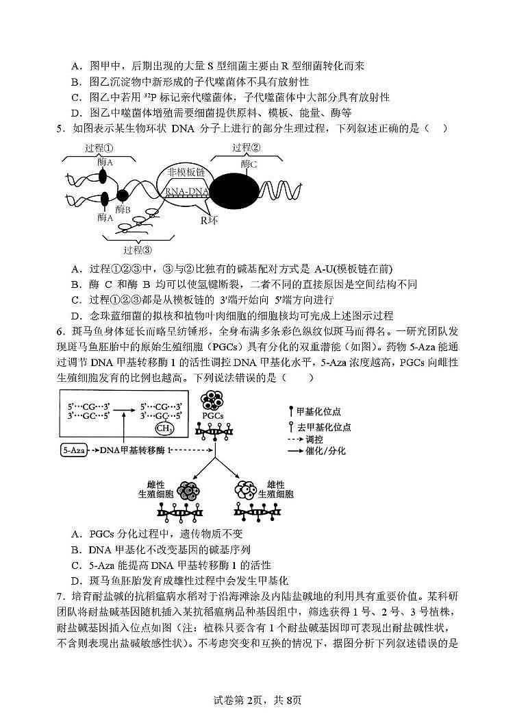 山东省潍坊第一中学2025-2026学年高二上学期开学考试生物试题第2页