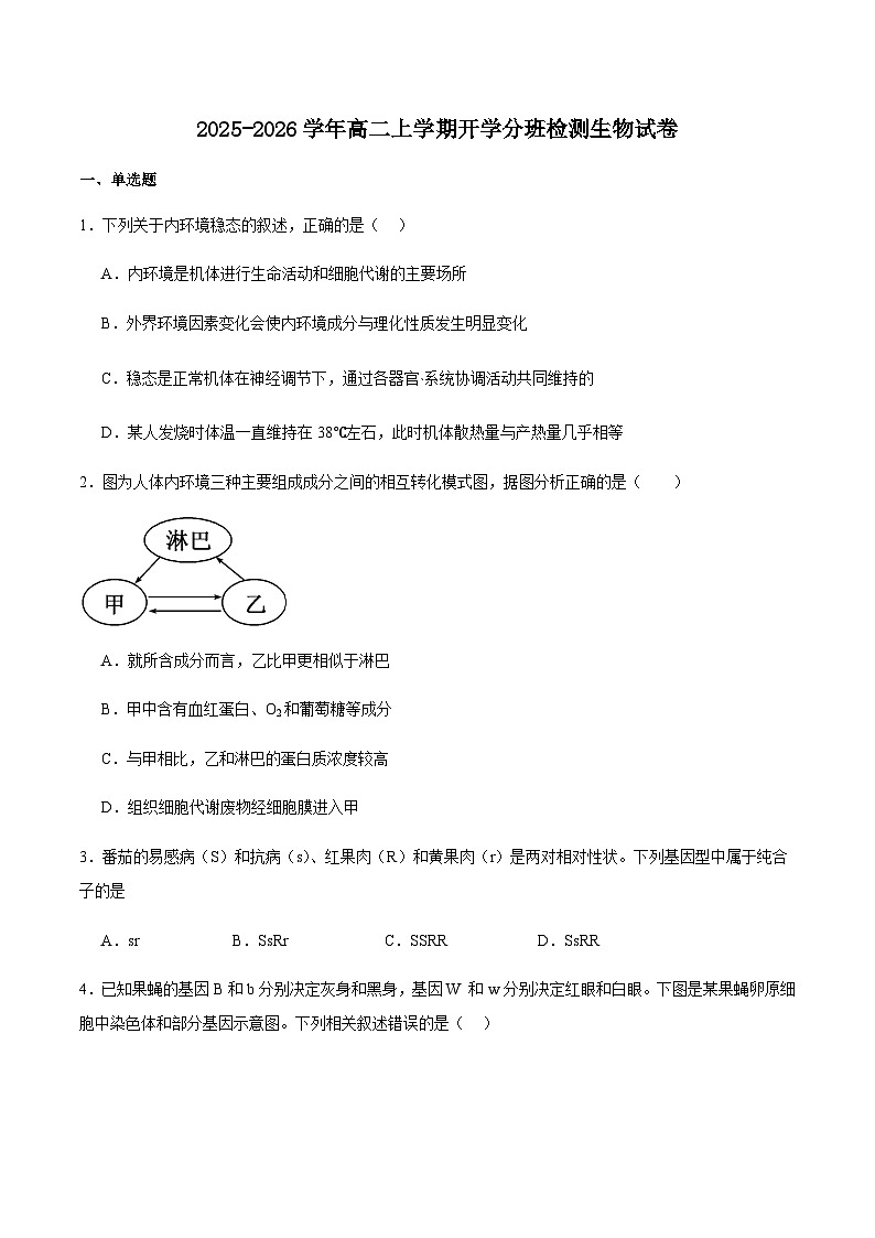 四川省绵阳市东辰学校2025-2026学年高二上学期开学分班检测生物试卷（含答案）第1页