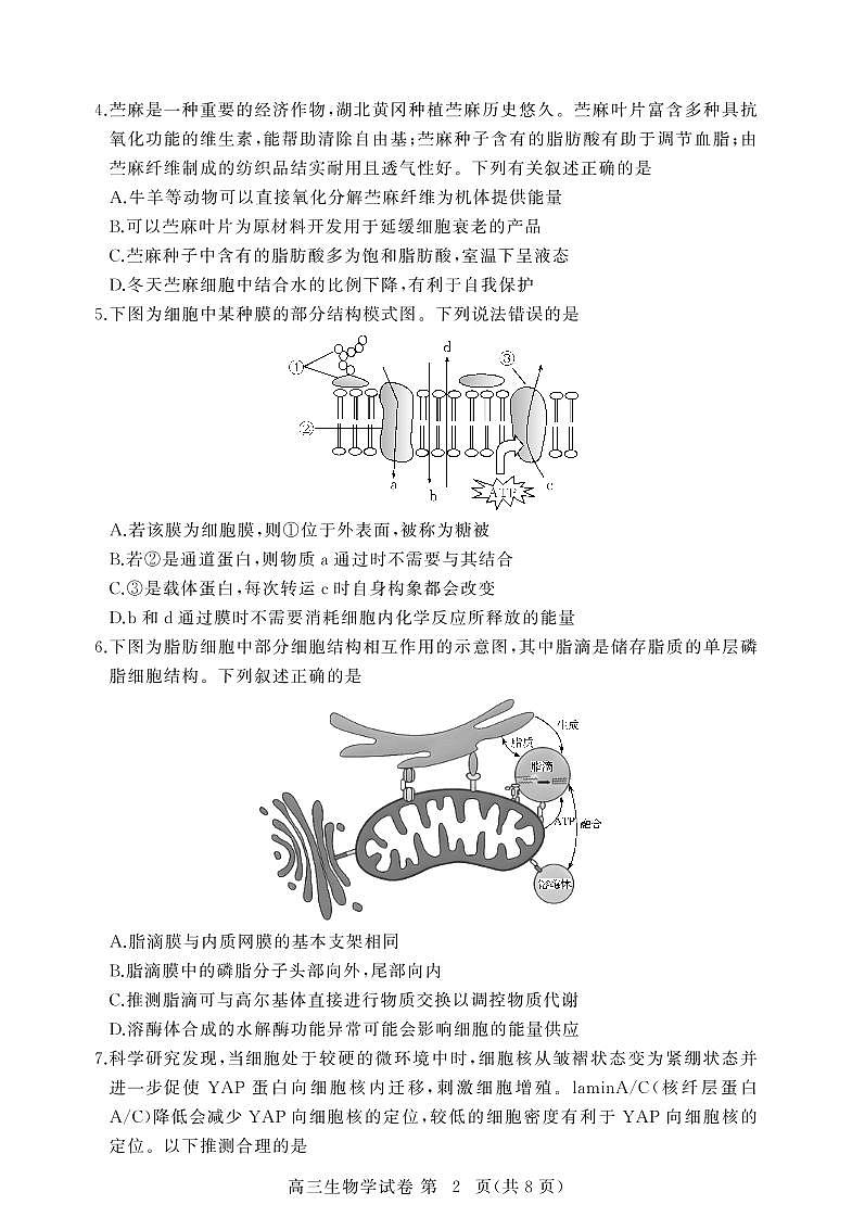 【2026届湖北省黄冈九调】生物试题第2页
