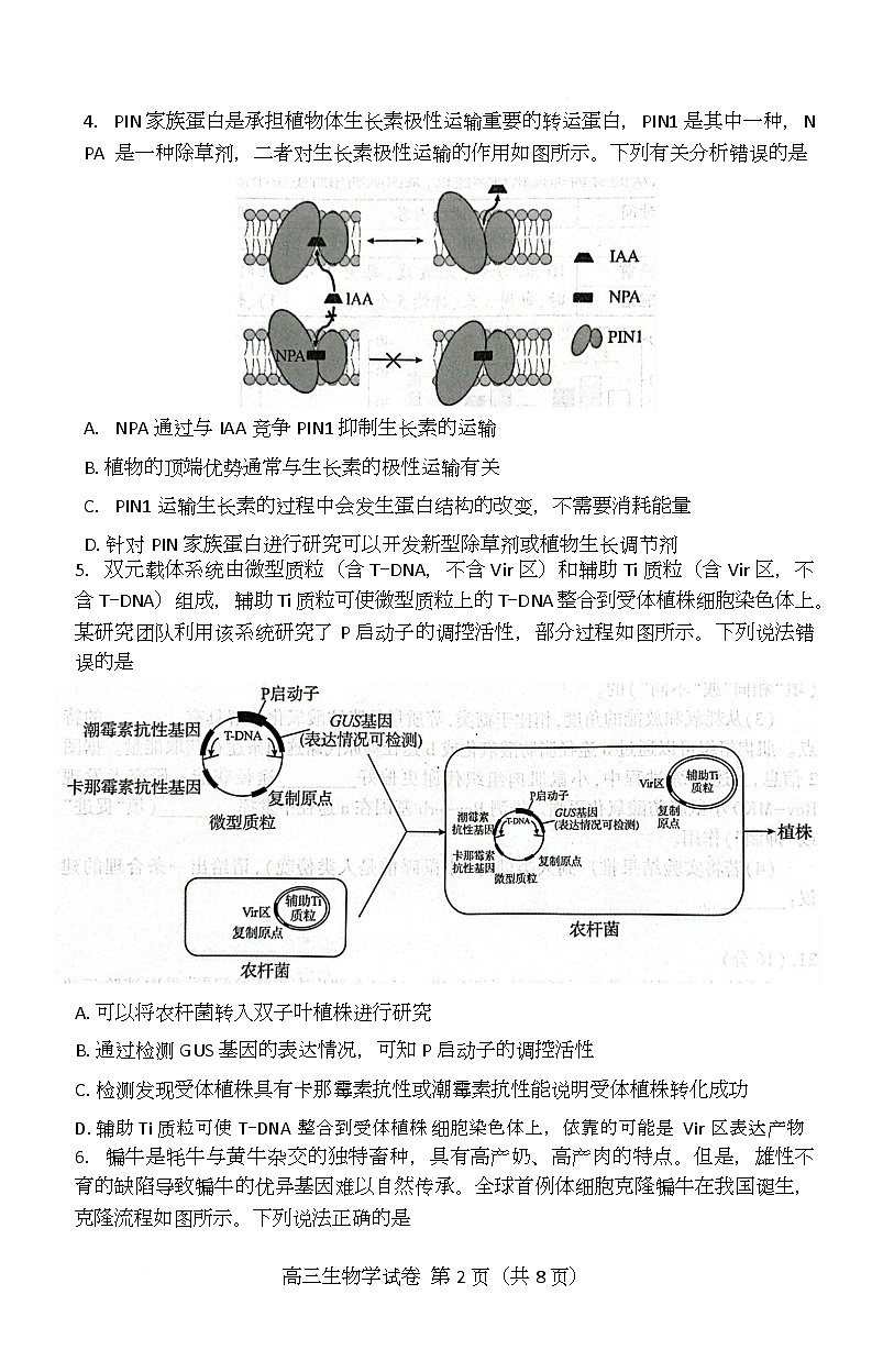 湖北省恩施2026届高三上学期9月起点考试+生物第2页
