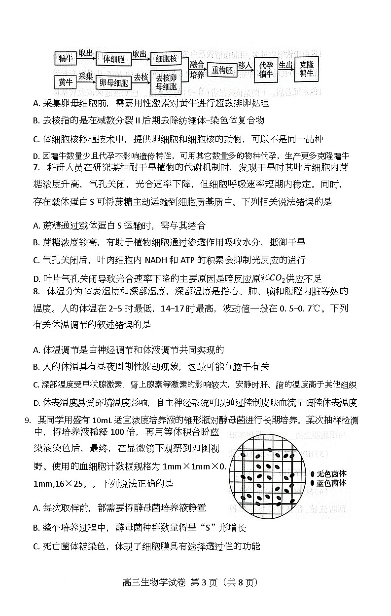 湖北省恩施2026届高三上学期9月起点考试+生物第3页