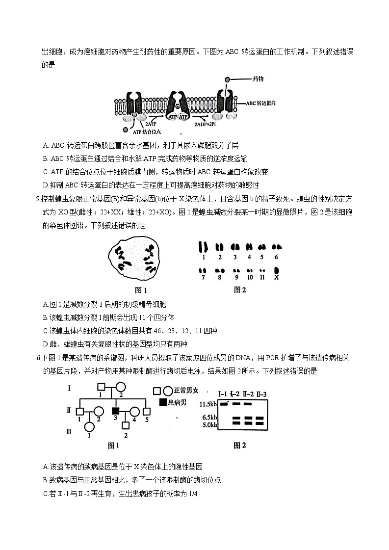 2026南京高三上学期9月学情调研试题生物含答案第2页