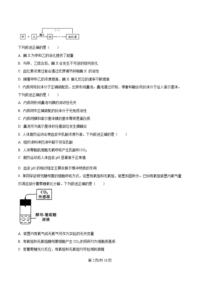 2025年高考真题——生物（浙江卷） Word版无答案第2页