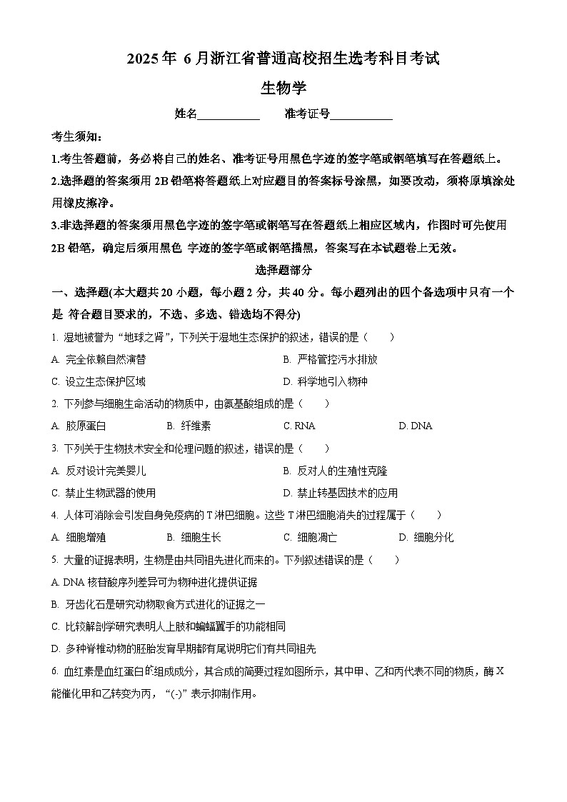 2025年高考真题——生物（浙江卷）试卷（Word版附答案）第1页