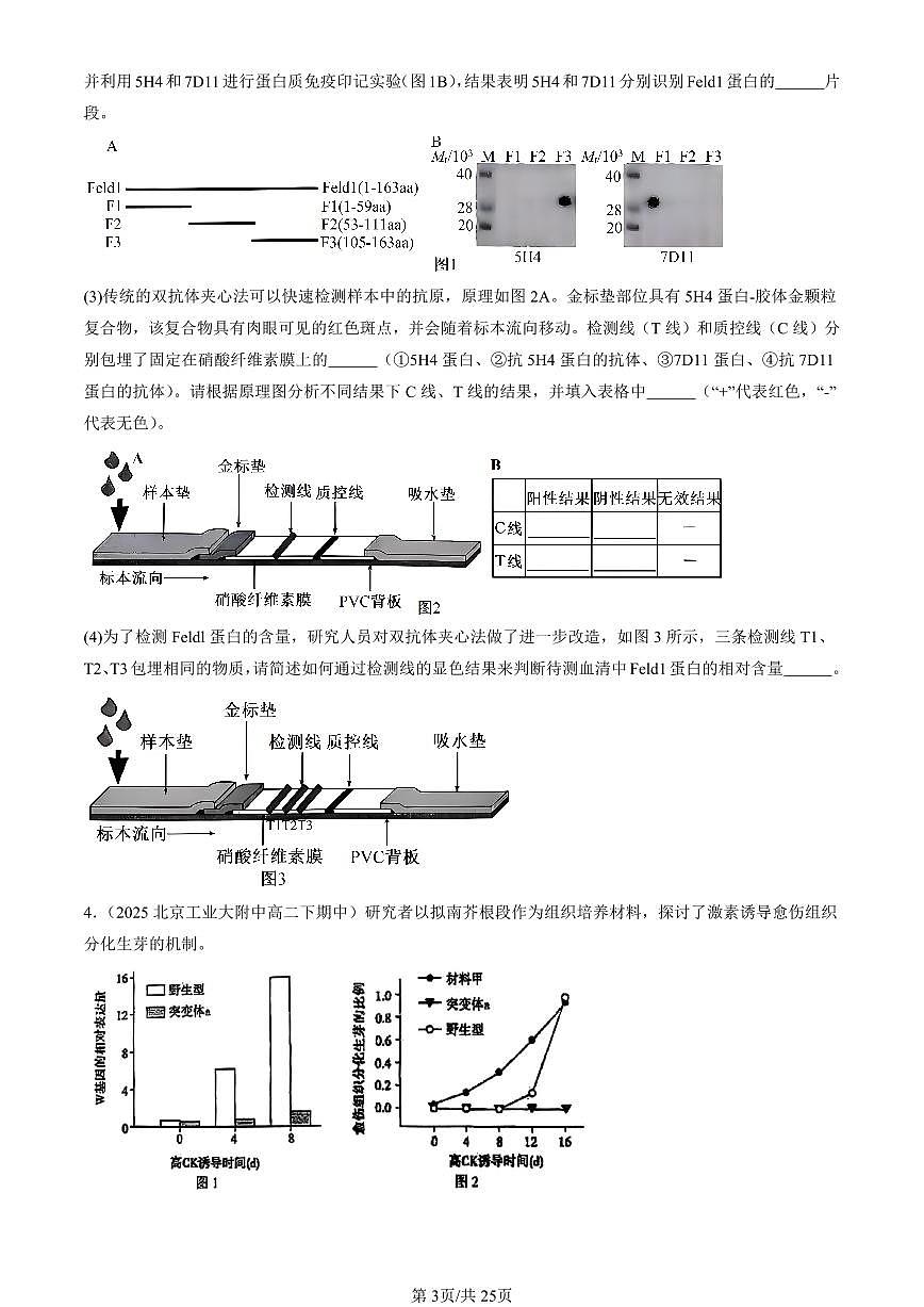 2025北京重点校高二（下）期中生物汇编：细胞工程章节综合（实验题）第3页