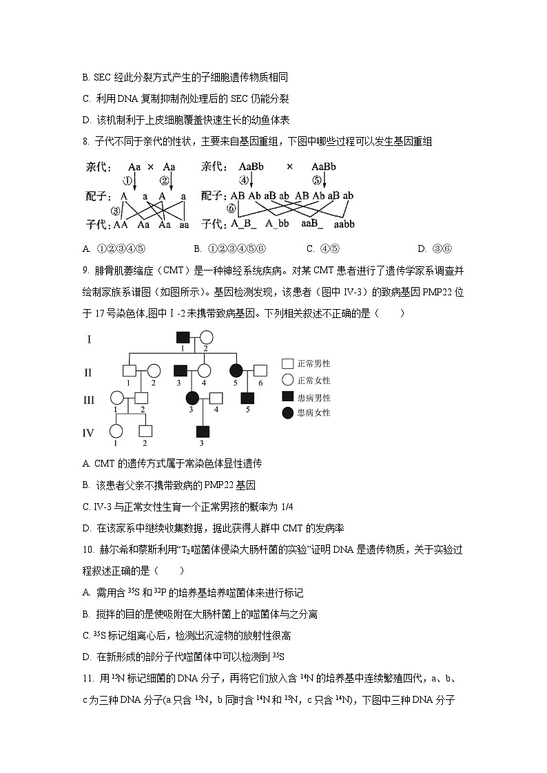 北京市延庆区2024-2025学年高三上学期9月月考生物试卷（学生版）第3页