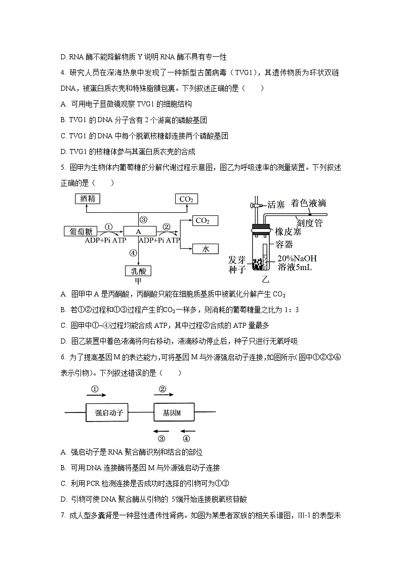 安徽省九师联盟2025-2026学年高三上学期9月联考生物试卷（学生版）第2页