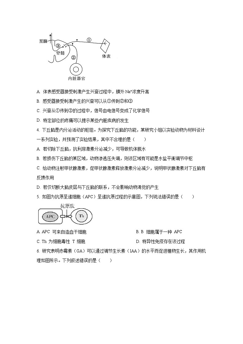 广东省肇庆市2024-2025学年高二上学期期末生物试卷（学生版）第2页