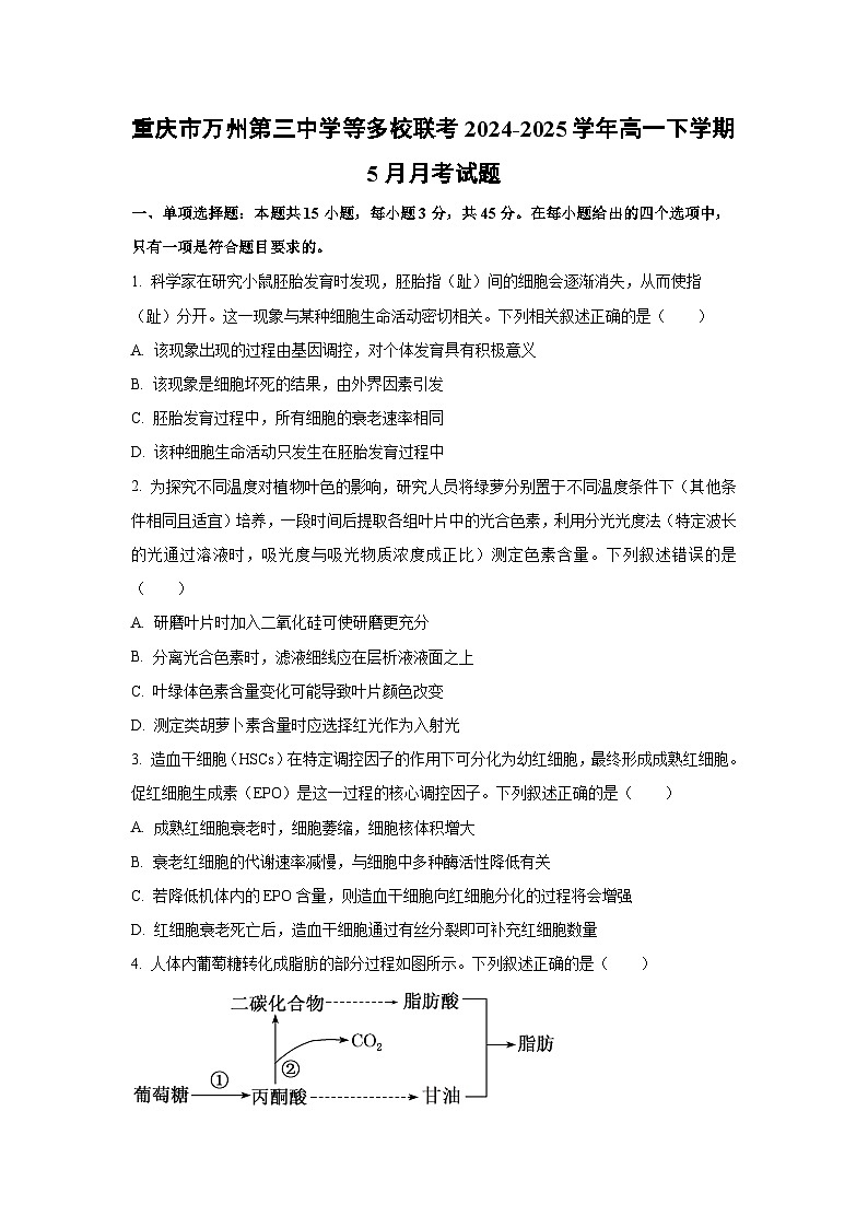 重庆市万州第三中学等多校联考2024-2025学年高一下学期5月月考生物试卷（学生版）第1页