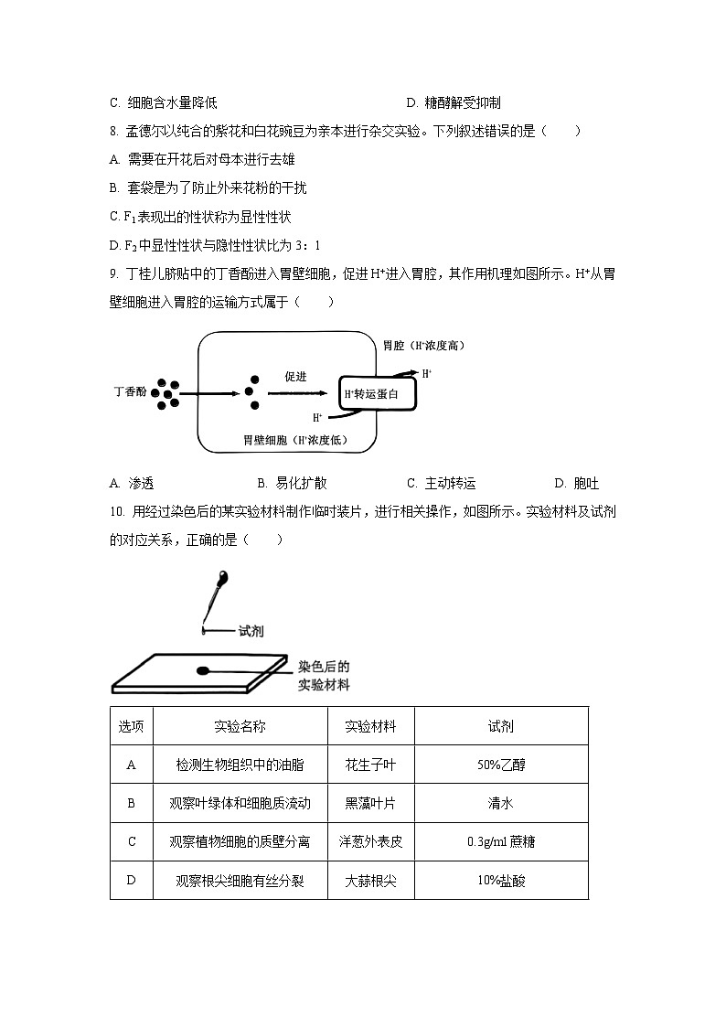 浙江省温州市学考模拟2024-2025学年高一下学期6月月考生物试卷（学生版）第2页