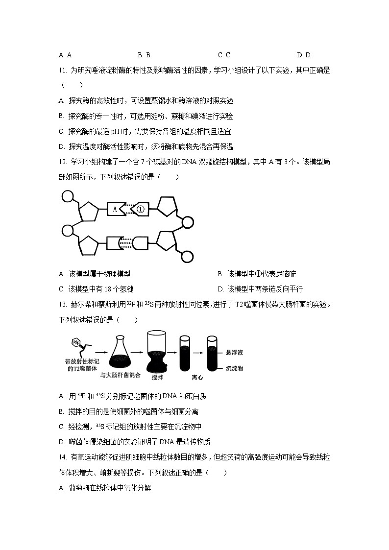 浙江省温州市学考模拟2024-2025学年高一下学期6月月考生物试卷（学生版）第3页