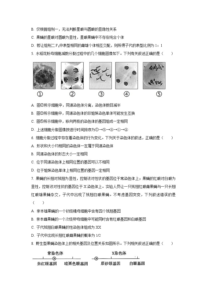 广东省佛山七校2024-2025学年高一下学期5月联考生物试卷（学生版）第2页
