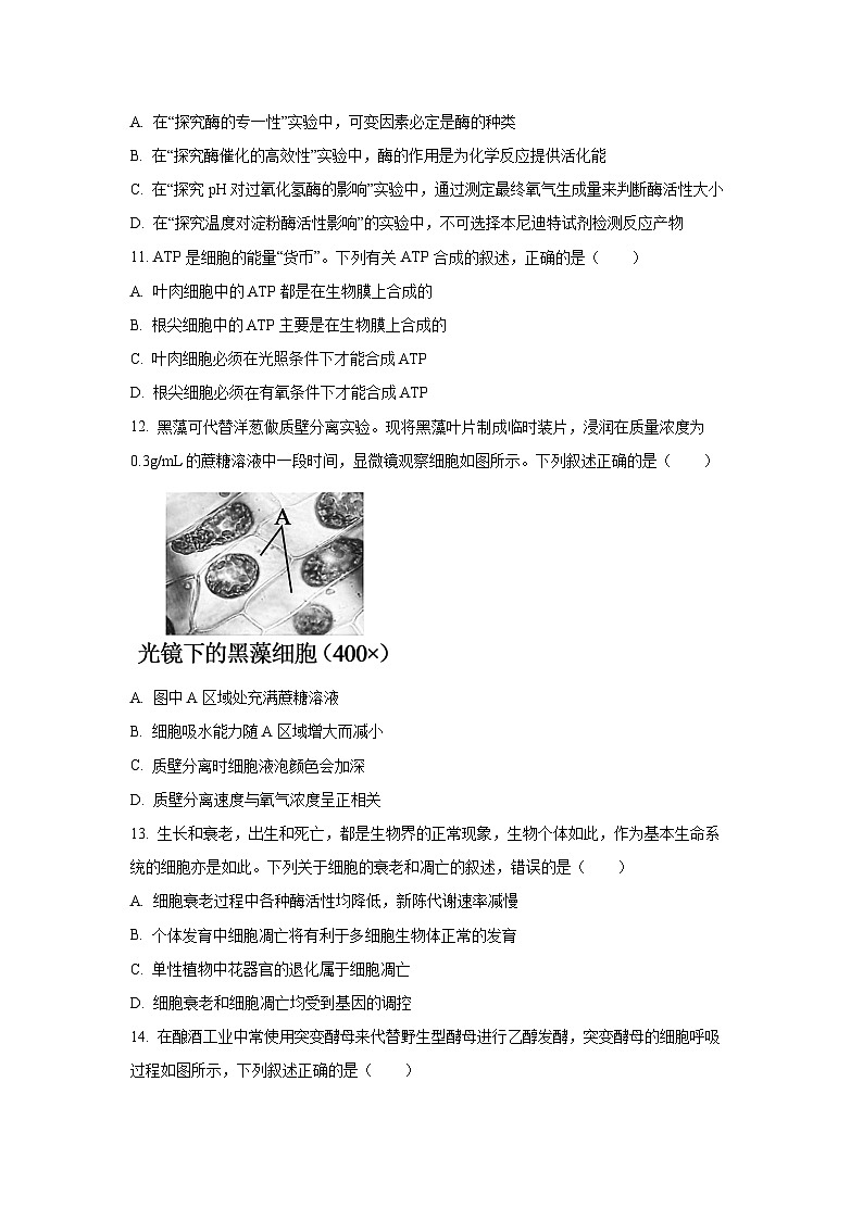 浙江省台州山海协作体2024-2025学年高一下学期4月期中生物试卷（学生版）第3页