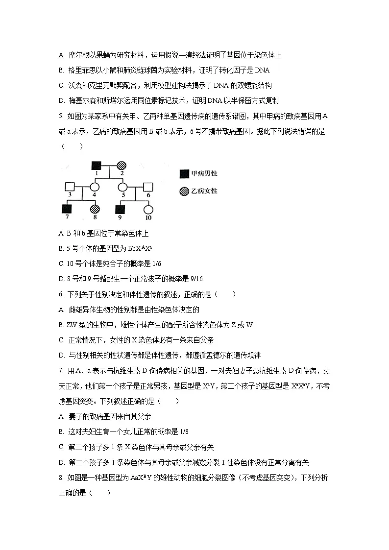 甘肃省张掖市某校2024-2025学年高一下学期6月月考生物试卷（学生版）第2页