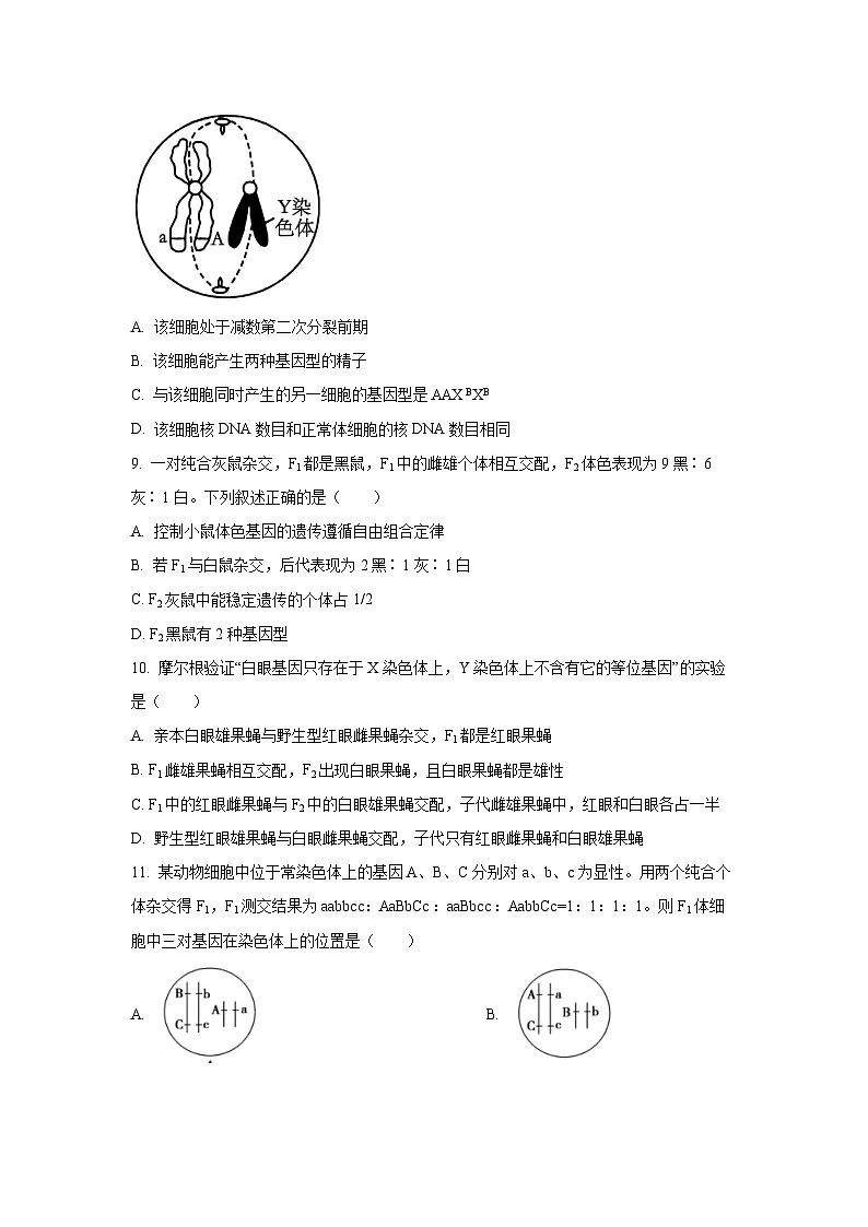 甘肃省张掖市某校2024-2025学年高一下学期6月月考生物试卷（学生版）第3页