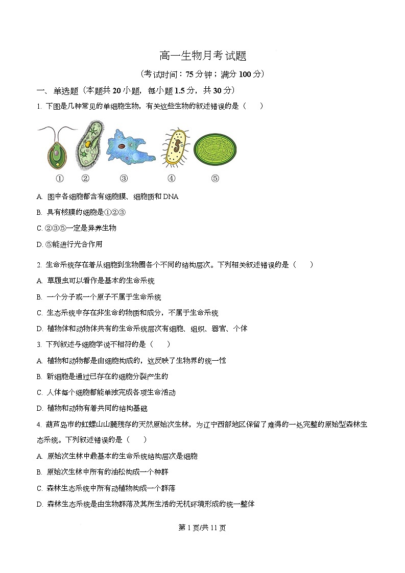 河北省定州中学2025-2026学年高一上学期第一次月考生物试题  Word版无答案第1页