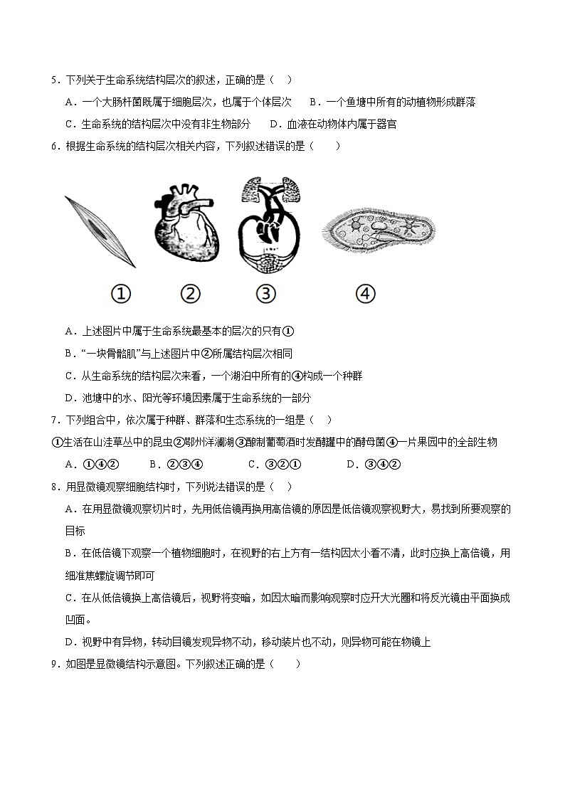 河南省南阳市第一中学2025-2026学年高一上学期第一次月考生物试题（Word版附答案）第2页