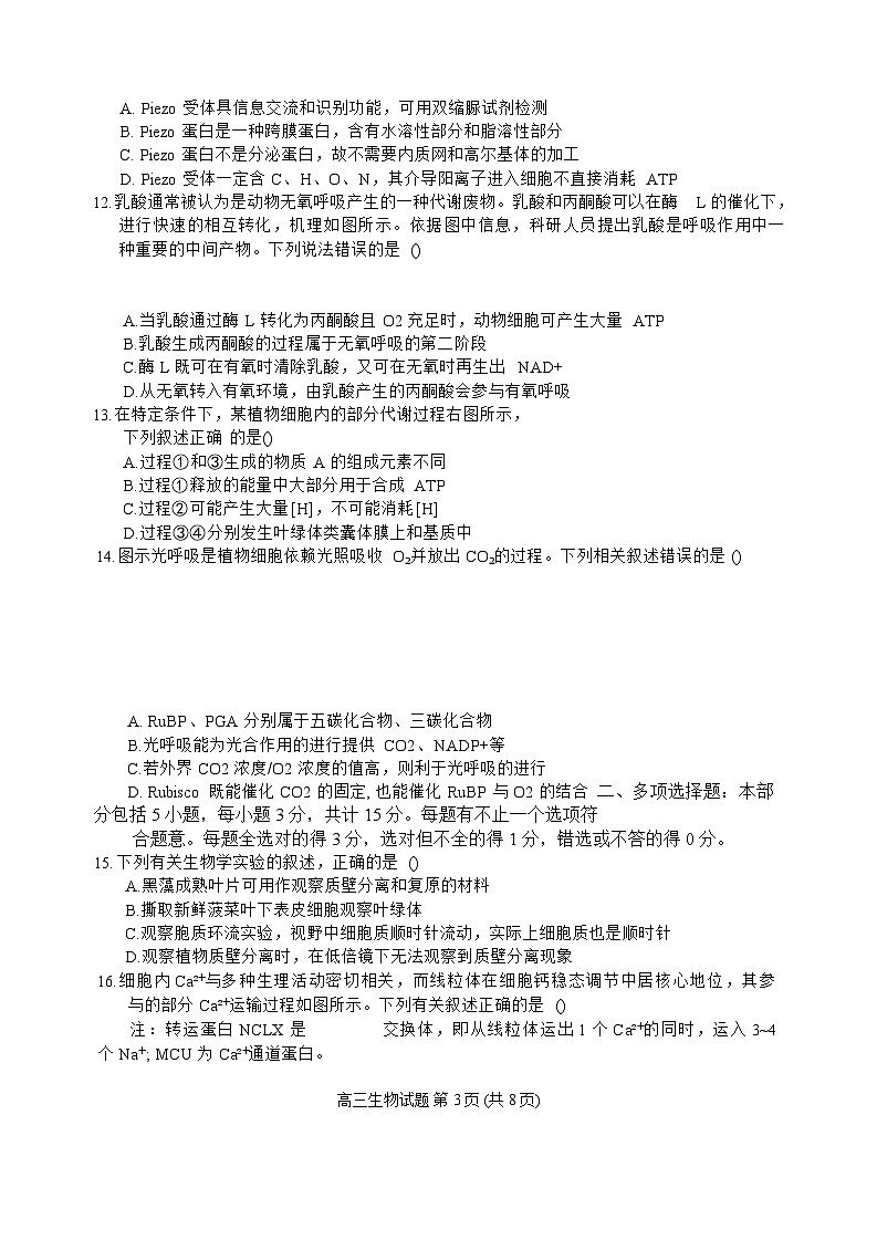 2026盐城七校联盟高三上学期9月第一次学情检测试题生物含答案第3页