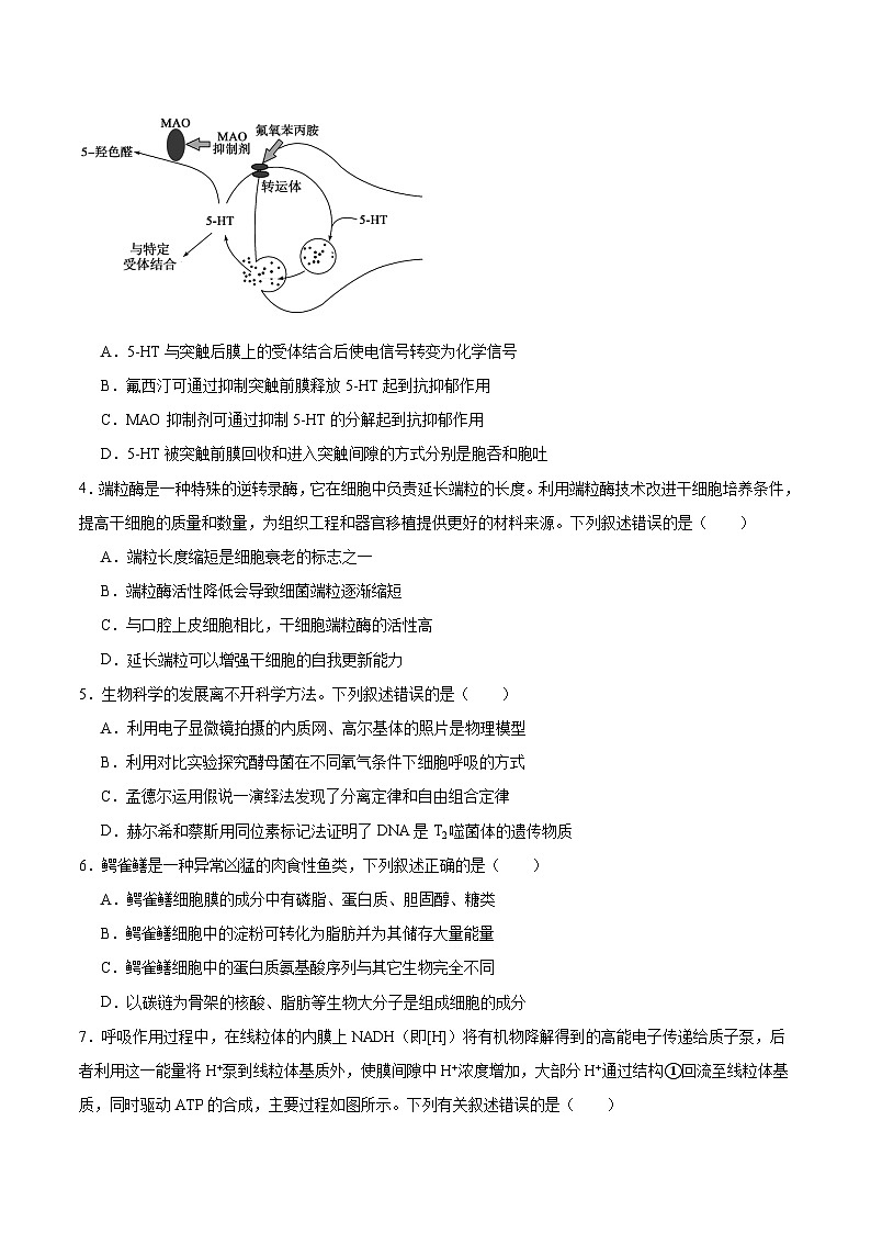 2026辽宁省辽西重点高中高二上学期开学考试生物含答案第2页