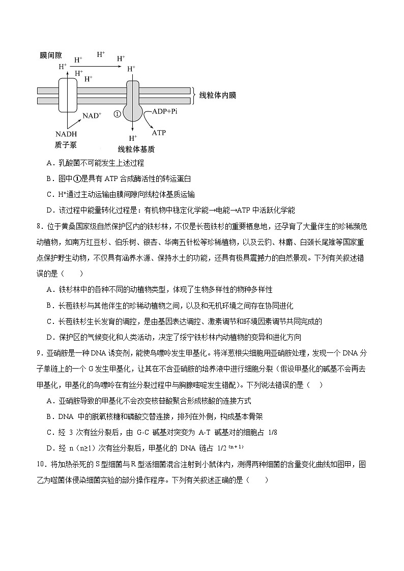 2026辽宁省辽西重点高中高二上学期开学考试生物含答案第3页