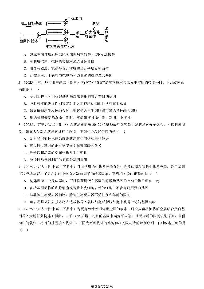 2025北京重点校高二（下）期中生物汇编：基因工程章节综合（单选题）1第2页