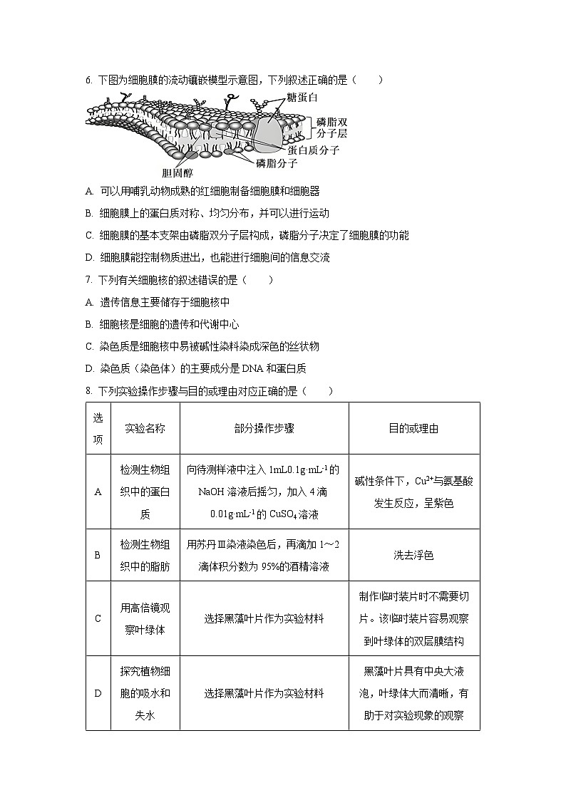 陕西省咸阳市2024-2025学年高一下学期开学考试生物试卷（学生版）第2页