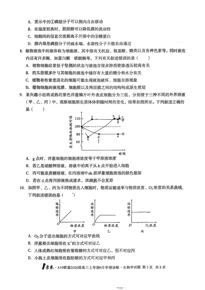 2026届安徽省A10联盟高三上学期9月底月考生物试卷第3页