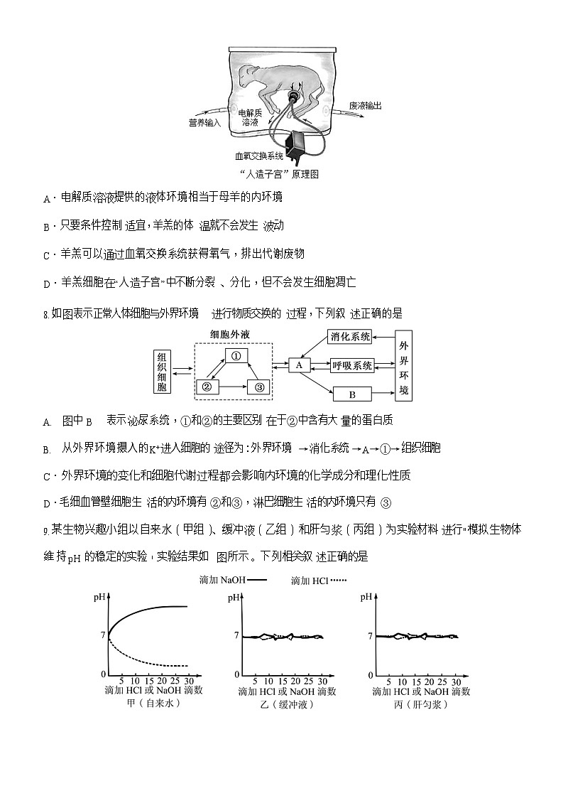 湖北省武汉市第六中学2025-2026学年高二上学期第1次月考生物试卷第3页