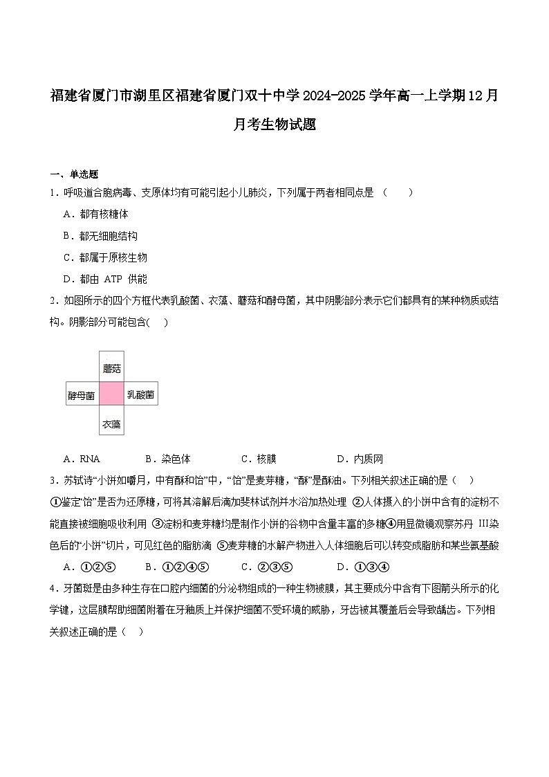 福建省厦门双十中学2024-2025学年高一上学期第二次12月月考生物试卷（Word版附答案）第1页