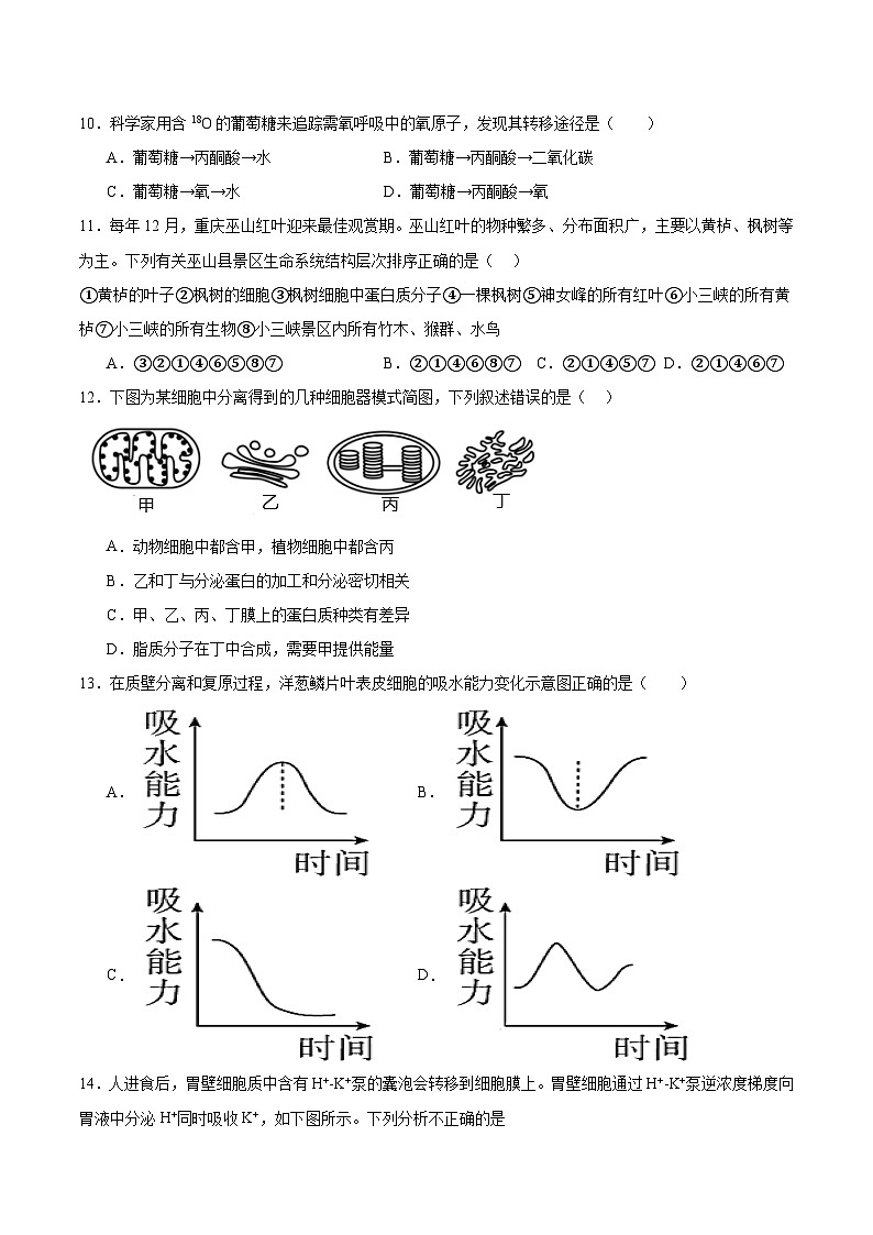 福建省厦门双十中学2024-2025学年高一上学期第二次12月月考生物试卷（Word版附答案）第3页
