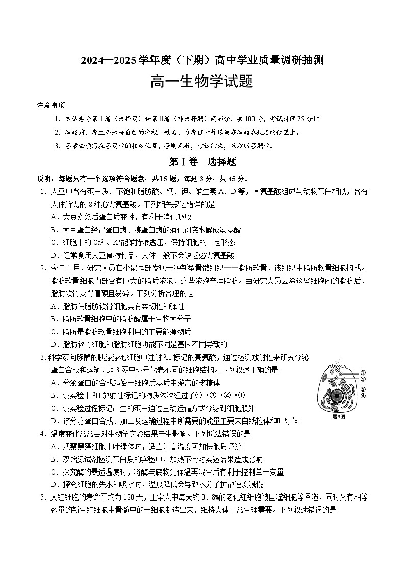 2025重庆九龙坡、渝中区等4地高一下学期期末考试生物含答案第1页
