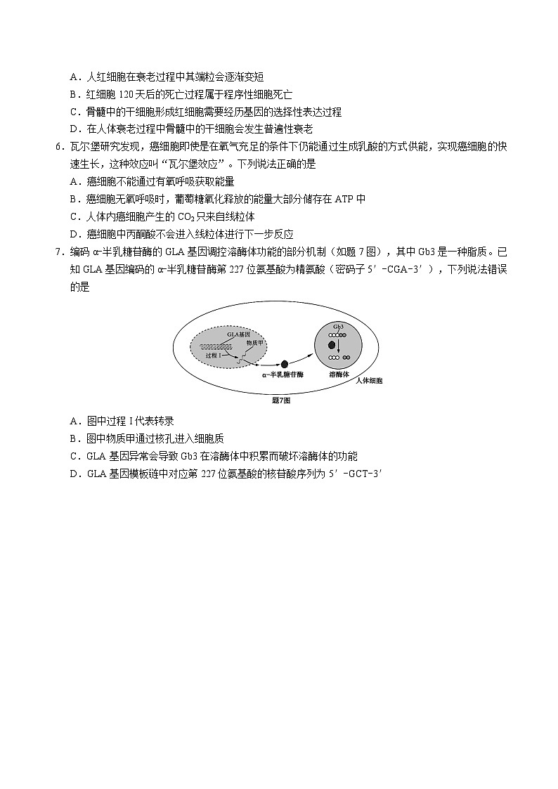 2025重庆九龙坡、渝中区等4地高一下学期期末考试生物含答案第2页