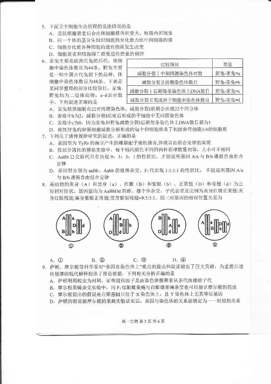 2025上饶高一下学期期末考试生物PDF版含解析第2页