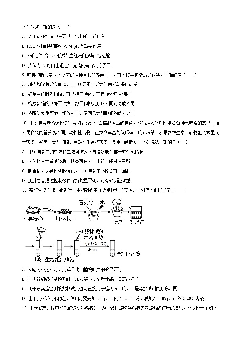 湖北省部分高中协作体联考2025-2026学年高一上学期9月月考生物试卷第3页