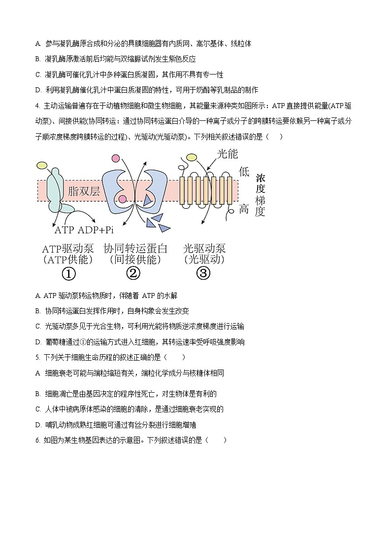 河南省青桐鸣大联考2025-2026学年高二上学期9月月考生物试卷第2页