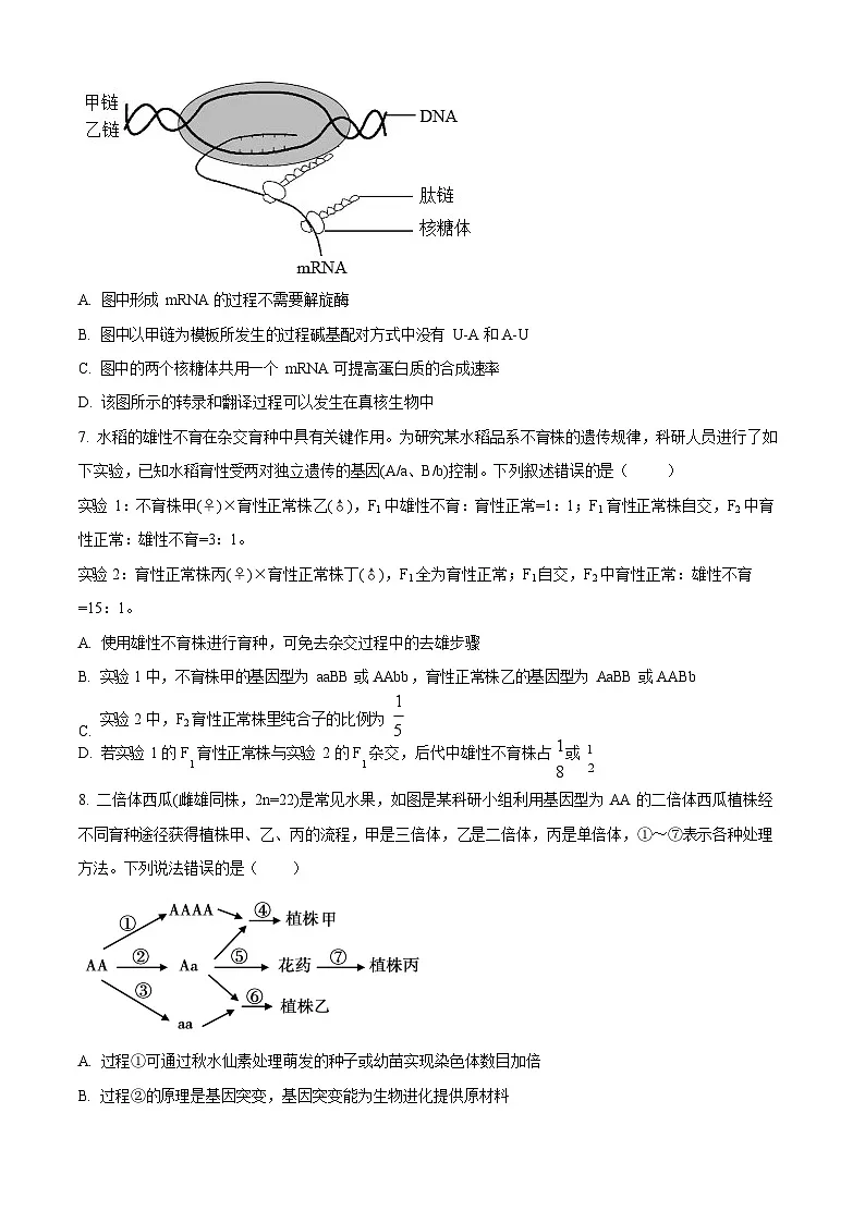 河南省青桐鸣大联考2025-2026学年高二上学期9月月考生物试卷第3页