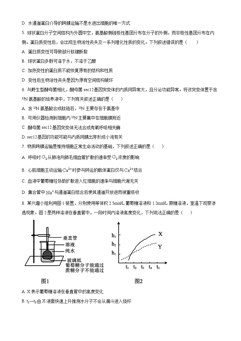安徽省合肥市第七中学2025-2026学年高三上学期第一次质量检测生物试卷第2页