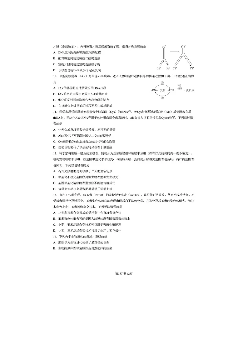 2023北京西城高一下期末生物试卷及答案第3页