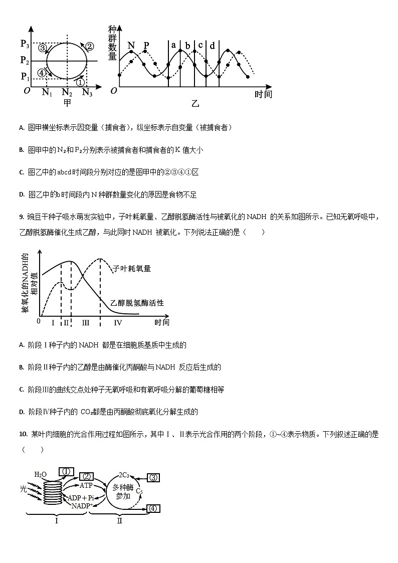 吉林省通化市梅河口市第五中学2024-2025学年高二下学期7月期末生物试题（含答案）第3页
