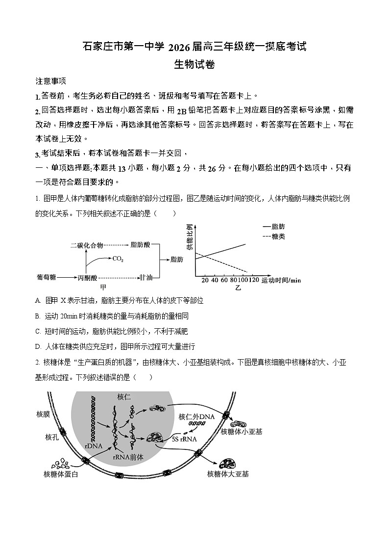 河北省石家庄市长安区石家庄市第一中学2025-2026学年高三上学期9月月考生物试卷第1页