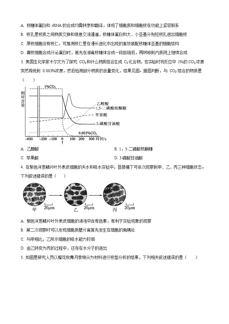 河北省石家庄市长安区石家庄市第一中学2025-2026学年高三上学期9月月考生物试卷第2页