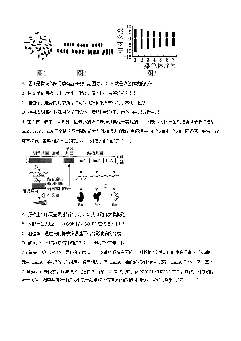 河北省石家庄市长安区石家庄市第一中学2025-2026学年高三上学期9月月考生物试卷第3页