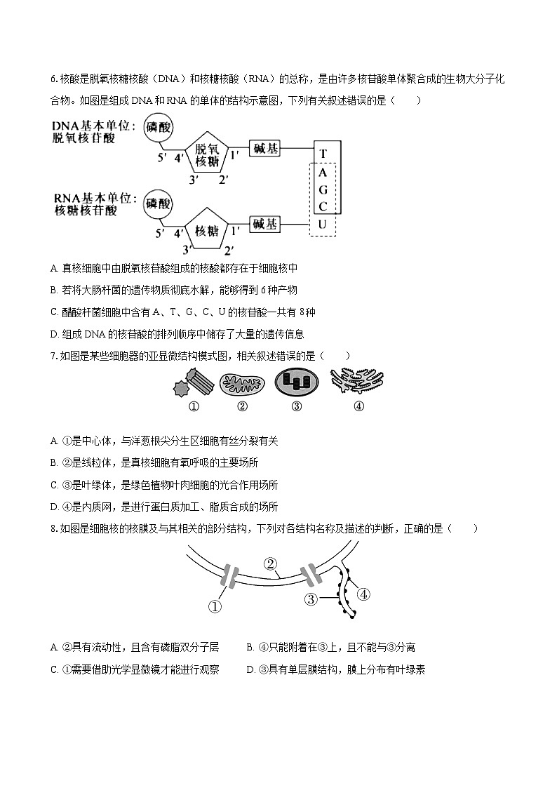 黑龙江省大庆市大庆中学2024-2025学年高一上学期期末考试生物试卷第2页