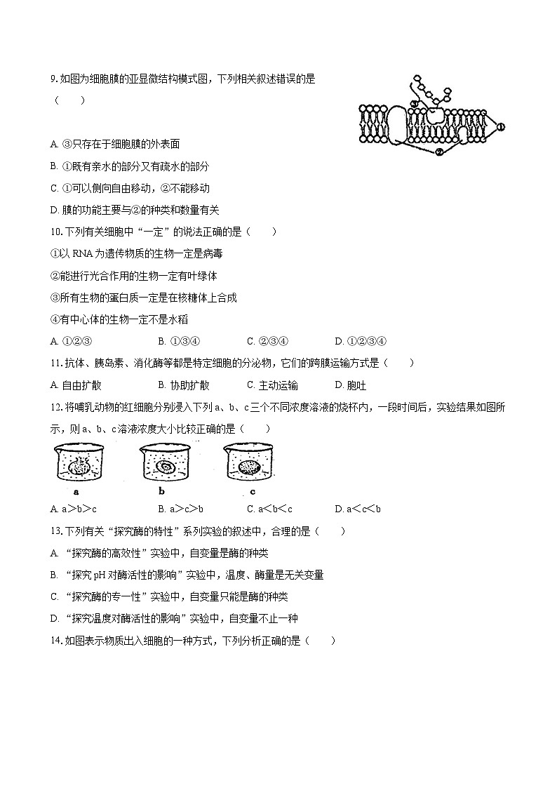 黑龙江省大庆市大庆中学2024-2025学年高一上学期期末考试生物试卷第3页